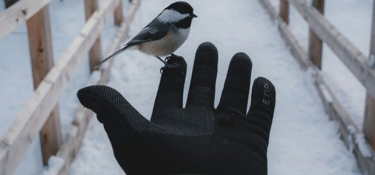 Is it warm to wear polyester gloves
