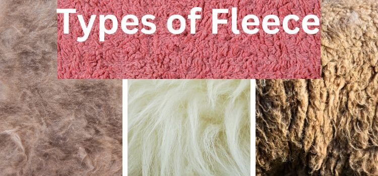Types of Fleece (Fleece vs Polyester)